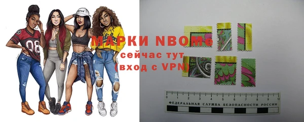 apvp Алзамай