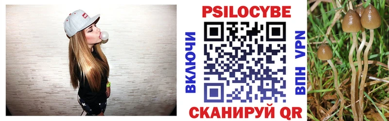 продажа наркотиков  Боровск  Псилоцибиновые грибы ЛСД 